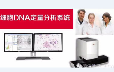  肿瘤筛查新技术：细胞DNA图像定量分析